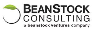 BSC_Consulting_Logo